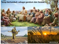 TETAP BERTUMBUH SEBAGAI SESAWI DAN GANDUM