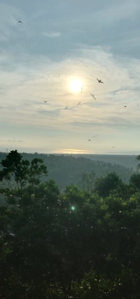 Simak Dua Pesan Aktual Sabda Tuhan per 13 Oktober 2020